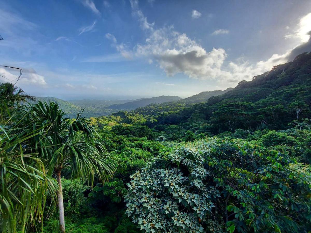 Vila Taorayiná El Zaino Exteriér fotografie