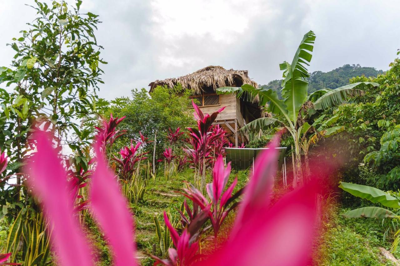 Vila Taorayiná El Zaino Exteriér fotografie