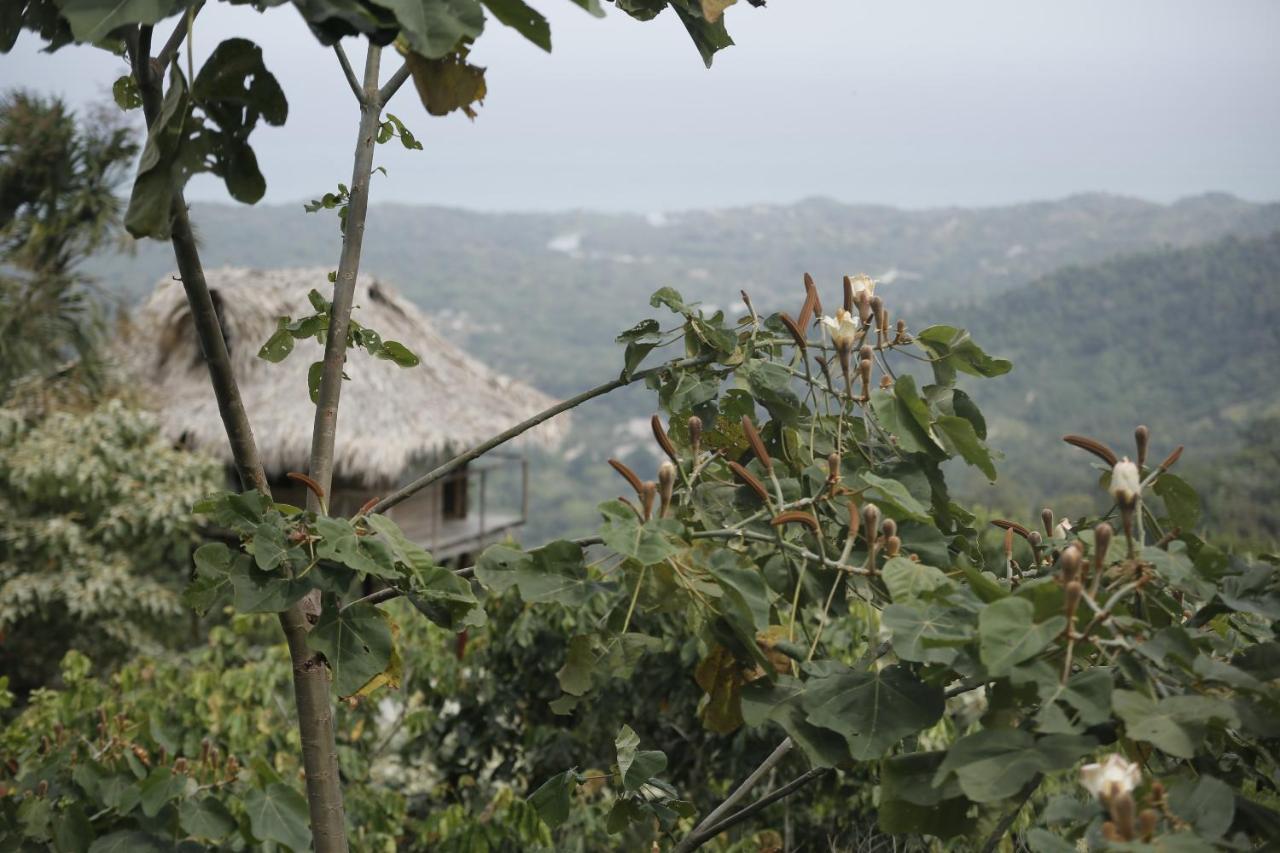 Vila Taorayiná El Zaino Exteriér fotografie