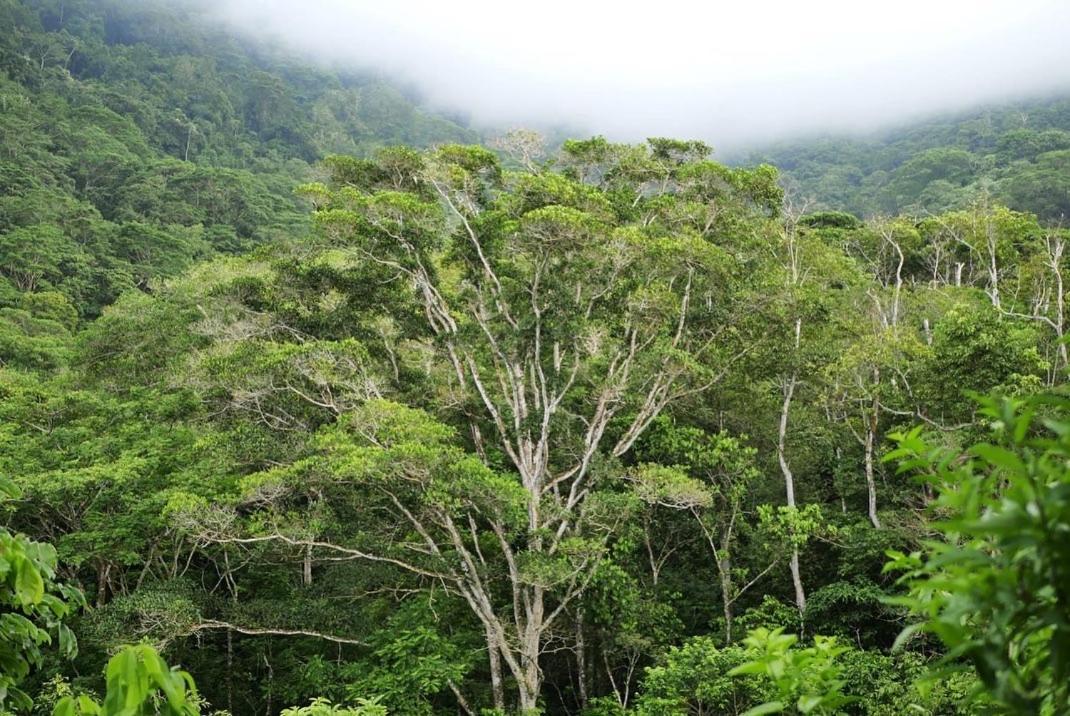 Vila Taorayiná El Zaino Exteriér fotografie