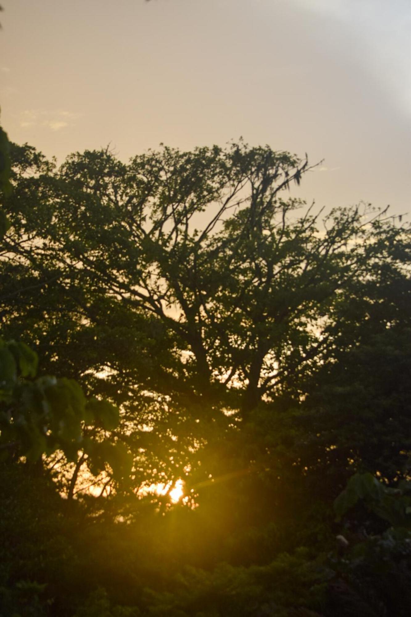 Vila Taorayiná El Zaino Exteriér fotografie