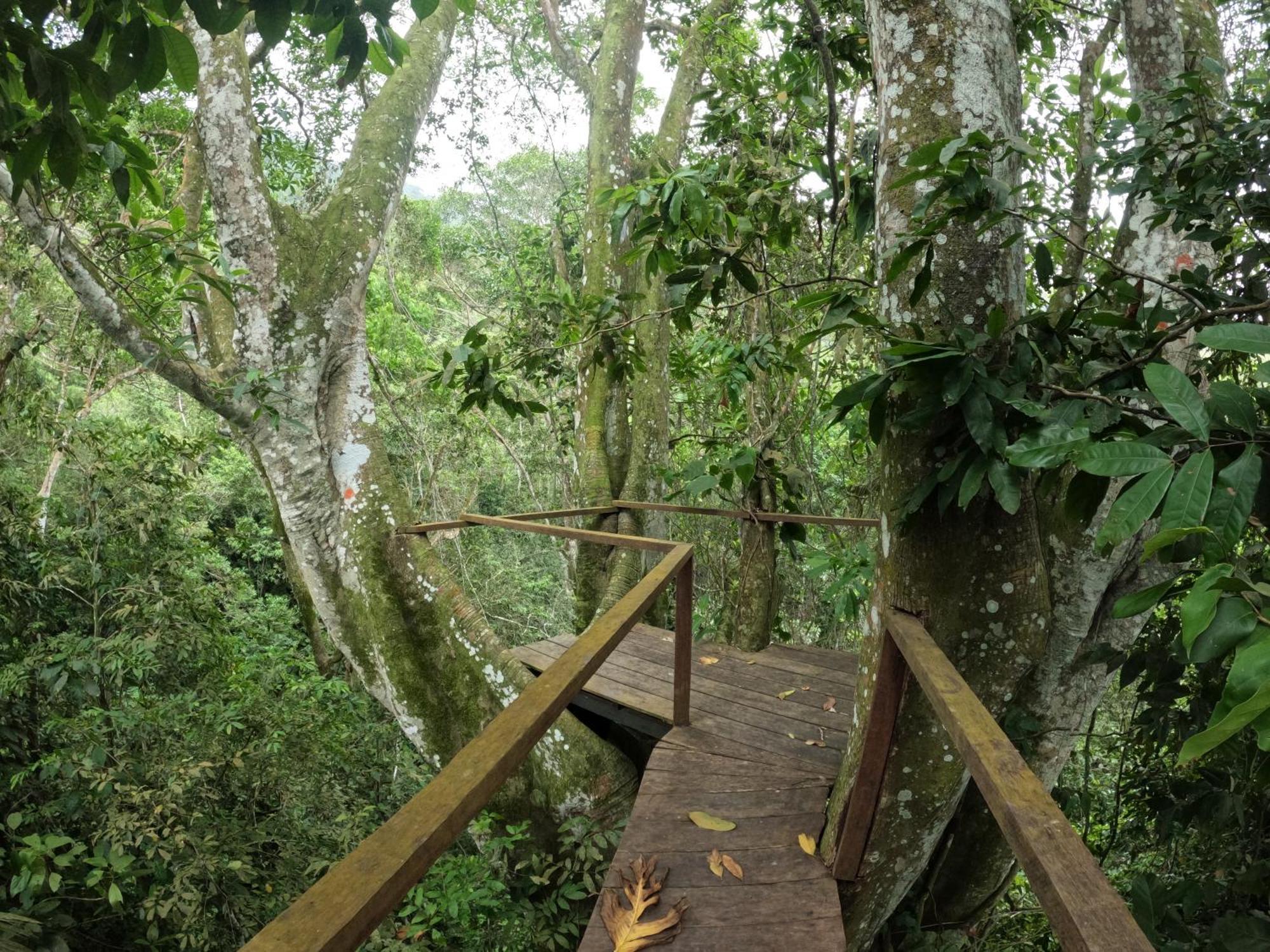 Vila Taorayiná El Zaino Exteriér fotografie