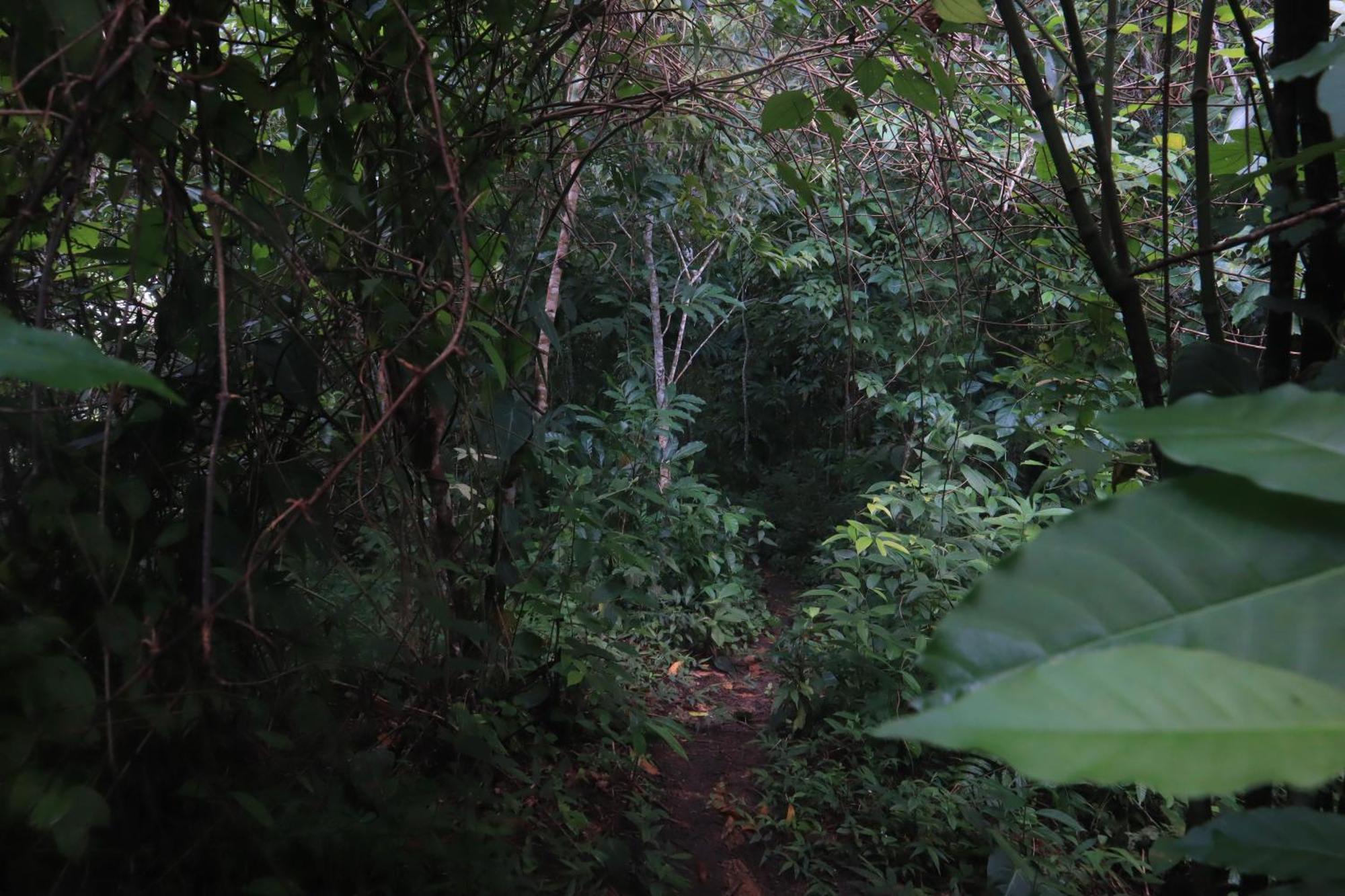 Vila Taorayiná El Zaino Exteriér fotografie